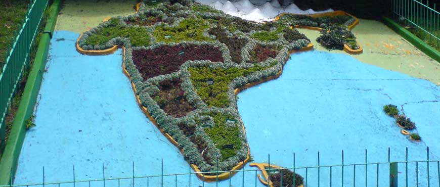 coonoor sim's park