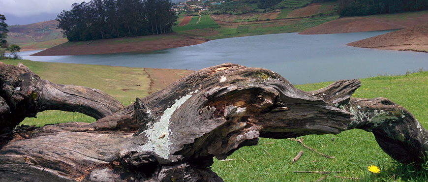 hillstation